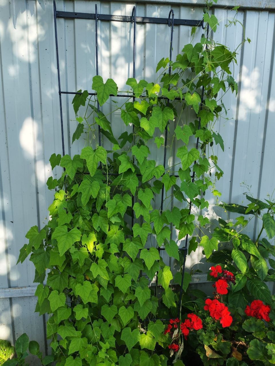 Фото 2