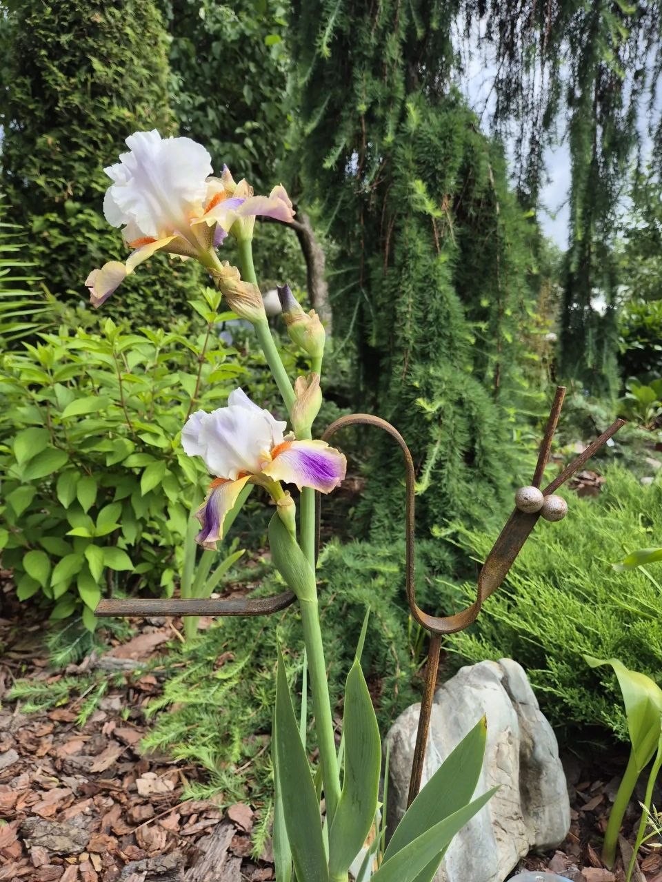 Фото 4